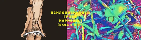 спиды Надым