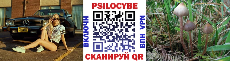 Псилоцибиновые грибы Psilocybe  Чаплыгин 