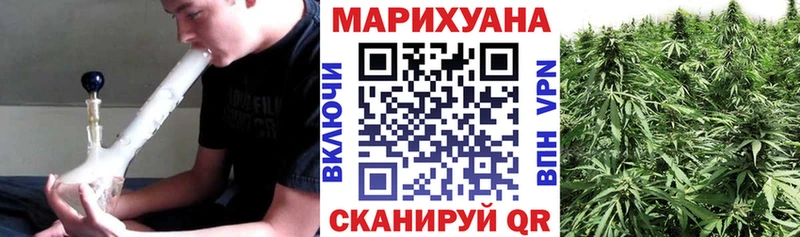 где можно купить   Чаплыгин  МАРИХУАНА семена 